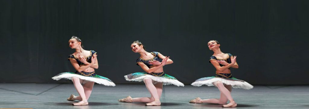 ZAKLJUČNI BALETNI GALA VEČER DANCS 2026